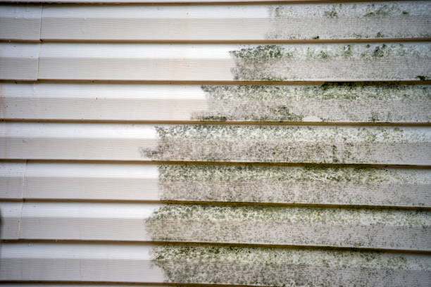 Best Historical Building Siding Restoration  in Russellville, AL