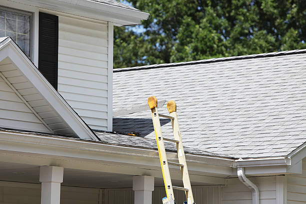 Best Siding Replacement  in Russellville, AL