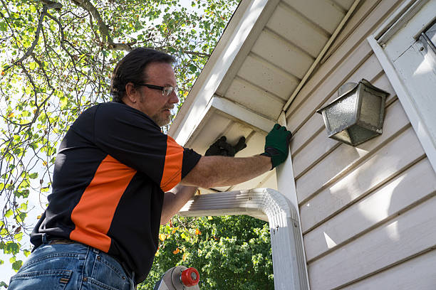 Best James Hardie Siding  in Russellville, AL