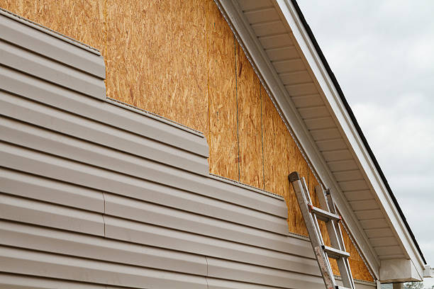 Best Custom Siding Design  in Russellville, AL